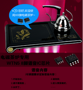 浅析各行业语音芯片在产品创新过程中的推动作用——以导航专用仪器为例